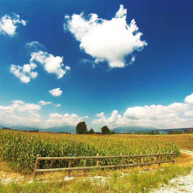 Asking without putting God in a box