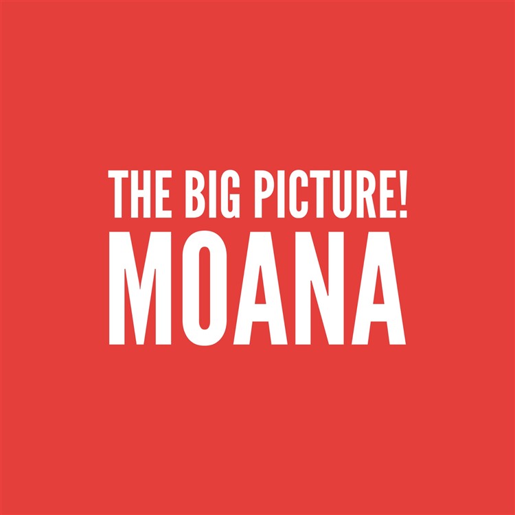 The Big Picture! Disney's Moana